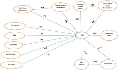 Disentangling the Drivers of Obesity: An Analytical Framework Based on Socioeconomic and Intrapersonal Factors